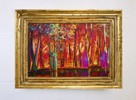 Enchanted Cypress on the Mississippi River by Debbie Willson | Enchanted Cypress on the Mississippi River