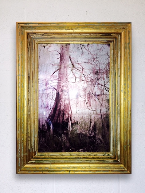 Lake Concordia by Debbie Willson | Photography, antique mirror, upcycled cypress Lake Concordia