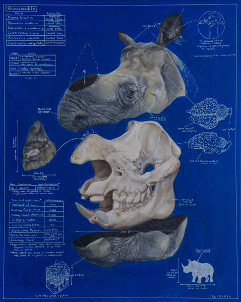 Endangered Placebo- Print by Bruce Corona | <p>Archival Print on Matte Paper<br></p> Endangered Placebo- Print