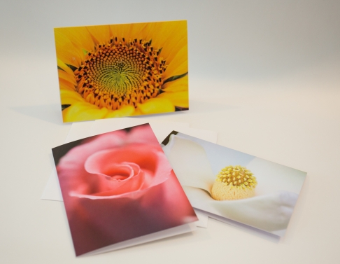 Floral Note Cards by Ashley Merlin | Blank Note Cards with Floral image. Floral Note Cards