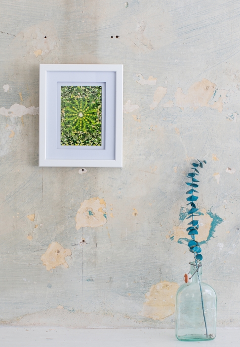 Mirliton Mandala Framed by Muffin Bernstein | photography Mirliton Mandala Framed