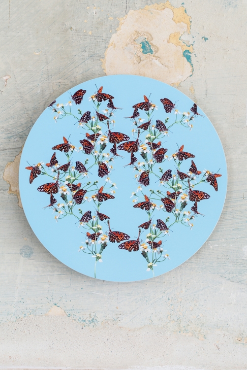 Feasting on Pollen Medallion by Muffin Bernstein | Digital photographic collage, dye-infused aluminum Feasting on Pollen Medallion