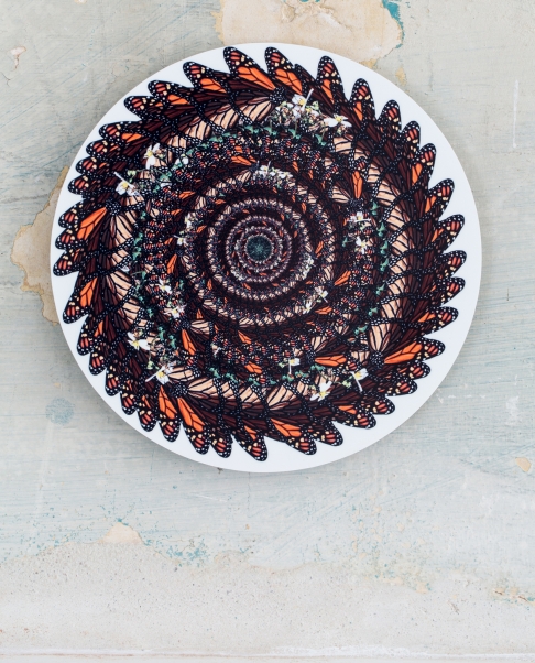 Monarch Medallion by Muffin Bernstein | Digital photographic collage, dye-infused aluminum Monarch Medallion