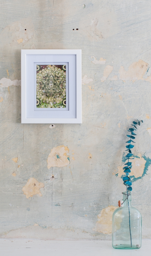 Okra Mandala framed by Muffin Bernstein | photography Okra Mandala framed