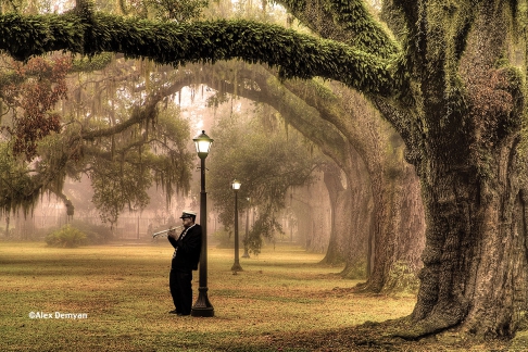 Audubon Park by Alex Demyan | I custom print my images on an Epson 3880 inkjet printer using Red River Ultrapro Satin Fine Art pa Audubon Park