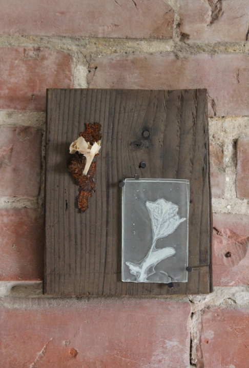 Kiln-Fired Flower and Fishbone by Caitlin Waugh | fused float glass, fishbone, rust, found wood, cut tacks Kiln-Fired Flower and Fishbone