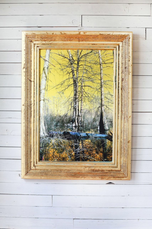 Catahoula Winter by Debbie Willson | Photograph printed on canvas. Upcycled cypress. Gold and or silver leaf. Catahoula Winter