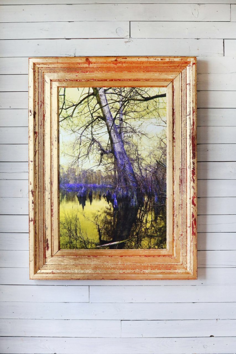 Lean In by Debbie Willson | Photograph printed on canvas. Frames made from upcycled cypress. Gold and/or silver leaf. Lean In